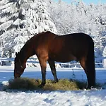 Waldgasthof Bad Einsiedel