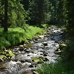 Waldgasthof Bad Einsiedel 3* Seiffen