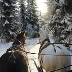 Waldgasthof Bad Einsiedel 3* Seiffen