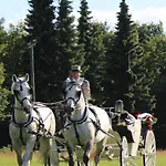 Waldgasthof Bad Einsiedel Kurort Seiffen/Erzgebirge