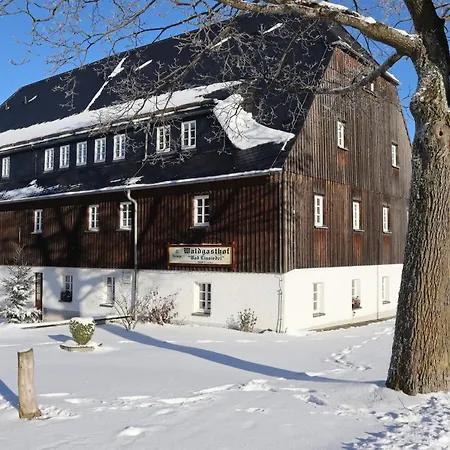 Отель Waldgasthof Bad Einsiedel Зайфен