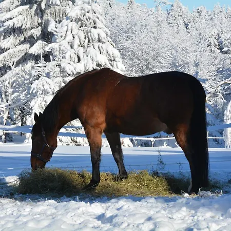 Waldgasthof Bad Einsiedel