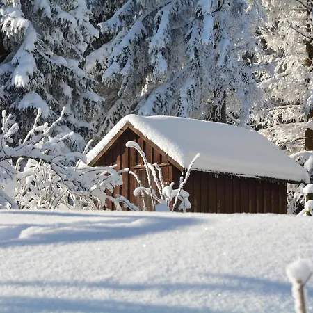 Отель Waldgasthof Bad Einsiedel