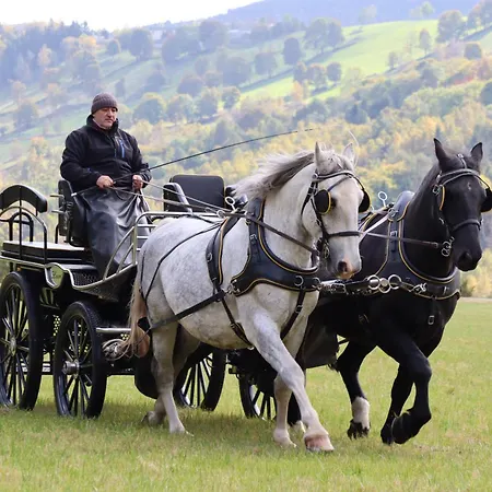 Waldgasthof Bad Einsiedel