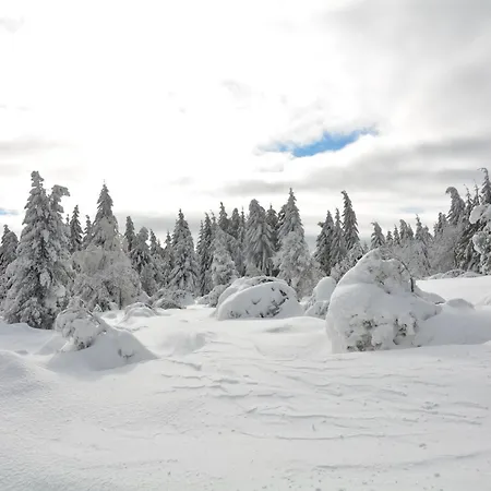 Waldgasthof Bad Einsiedel Отель 3*