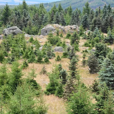 Отель Waldgasthof Bad Einsiedel 3*