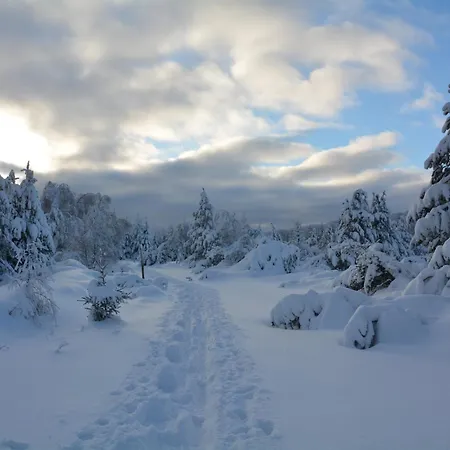 Waldgasthof Bad Einsiedel Зайфен