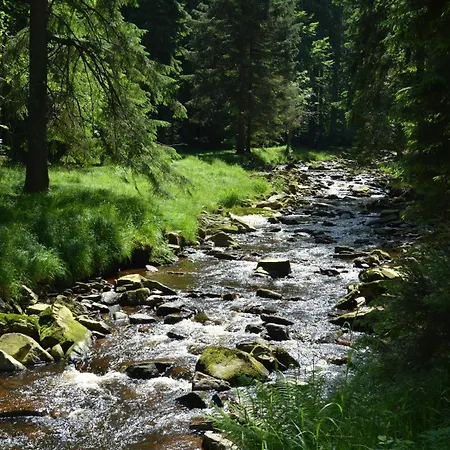 Waldgasthof Bad Einsiedel 3* سيفن