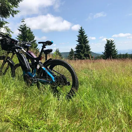 Отель Waldgasthof Bad Einsiedel