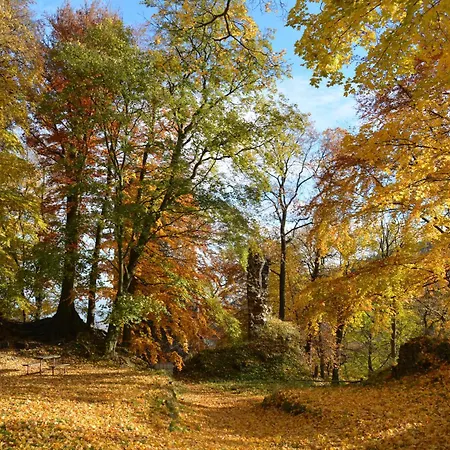 Waldgasthof Bad Einsiedel فندق سيفن