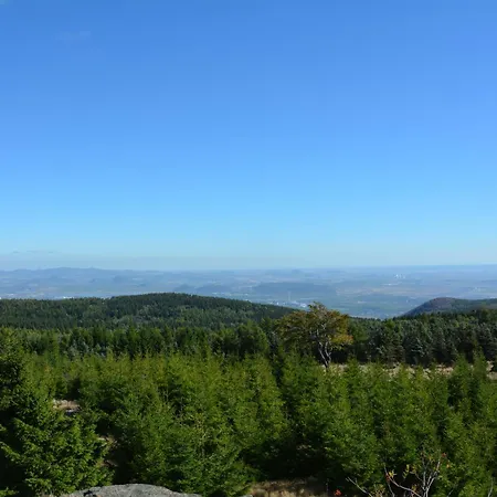 Отель Waldgasthof Bad Einsiedel Зайфен