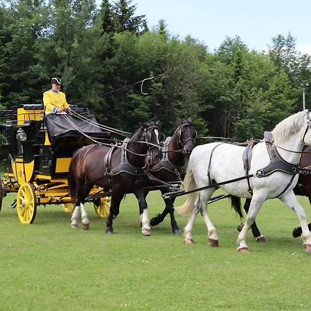 Waldgasthof Bad Einsiedel 3*