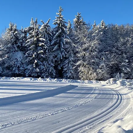 Waldgasthof Bad Einsiedel Seiffen