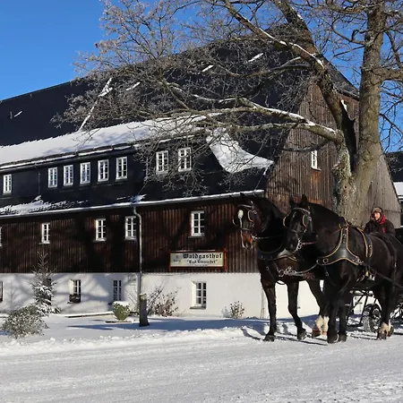 Waldgasthof Bad Einsiedel Hotel Seiffen