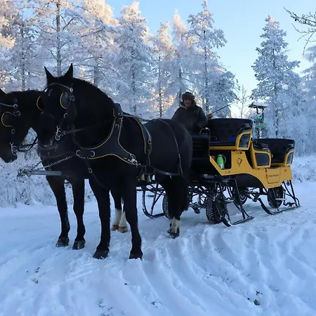 Hotel Waldgasthof Bad Einsiedel Seiffen