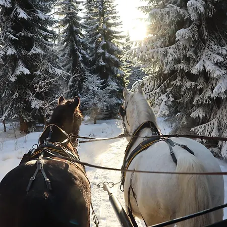 Waldgasthof Bad Einsiedel 3* Seiffen