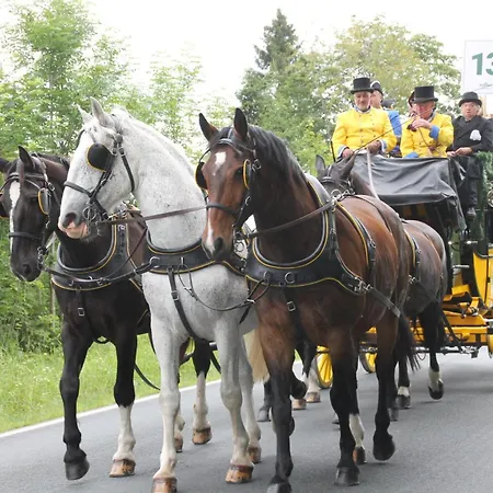 Waldgasthof Bad Einsiedel Отель Зайфен
