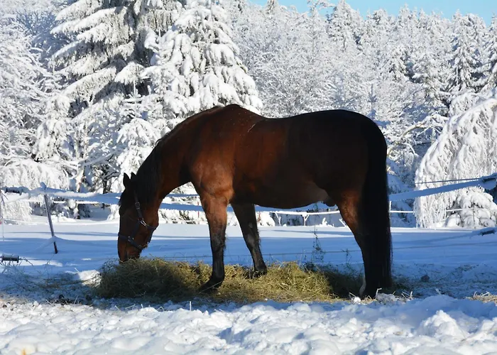 Waldgasthof Bad Einsiedel