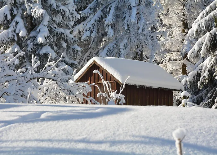 فندق Waldgasthof Bad Einsiedel