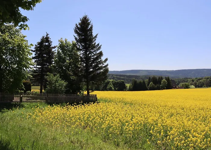 Waldgasthof Bad Einsiedel فندق 3*