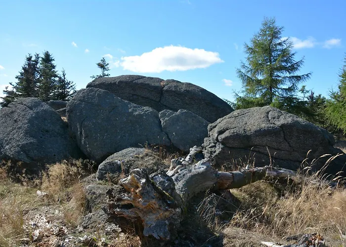 فندق Waldgasthof Bad Einsiedel 3*