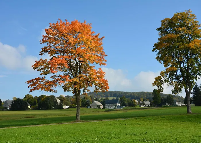 Waldgasthof Bad Einsiedel 3* سيفن