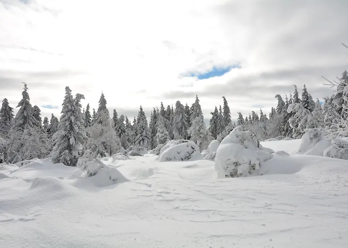 Waldgasthof Bad Einsiedel فندق 3*