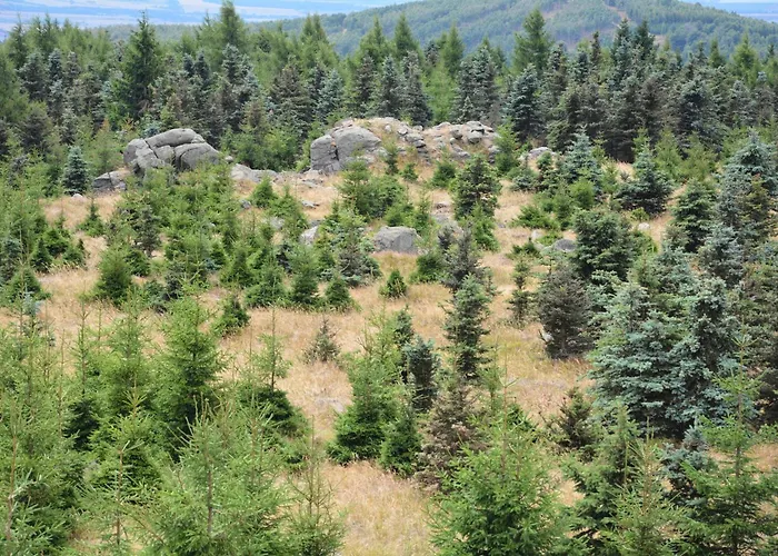 فندق Waldgasthof Bad Einsiedel 3*