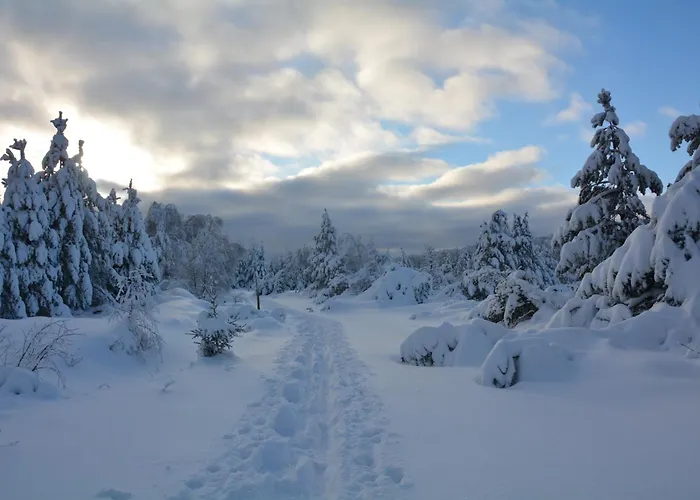 Waldgasthof Bad Einsiedel سيفن