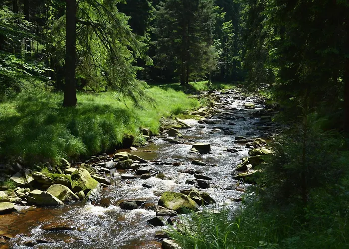 Waldgasthof Bad Einsiedel 3* سيفن