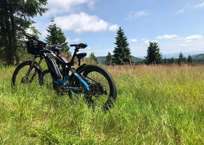 فندق Waldgasthof Bad Einsiedel