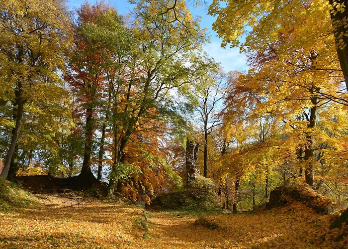 Waldgasthof Bad Einsiedel فندق سيفن