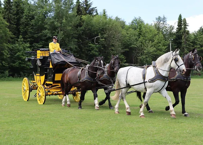 Waldgasthof Bad Einsiedel 3*