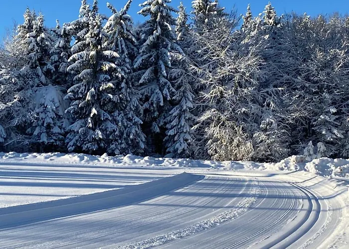 Waldgasthof Bad Einsiedel سيفن