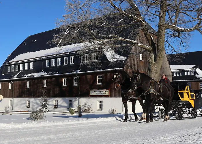 Waldgasthof Bad Einsiedel فندق سيفن