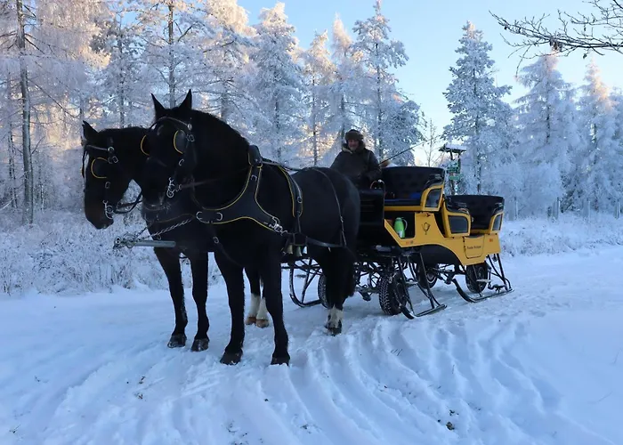 فندق Waldgasthof Bad Einsiedel سيفن