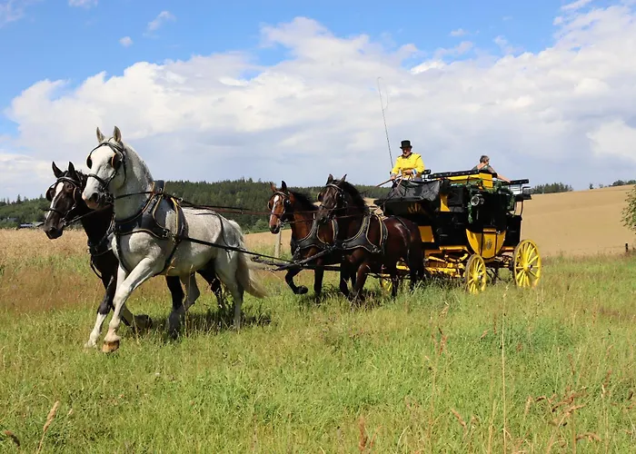 Waldgasthof Bad Einsiedel سيفن