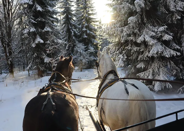 Waldgasthof Bad Einsiedel 3* سيفن