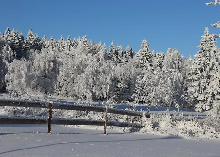 Waldgasthof Bad Einsiedel