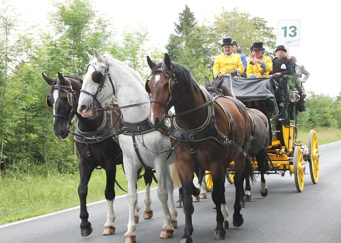 Waldgasthof Bad Einsiedel فندق سيفن