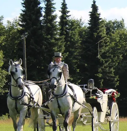 Waldgasthof Bad Einsiedel سيفن